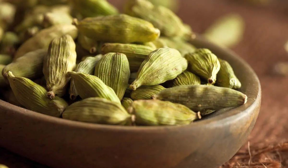 Cardamom