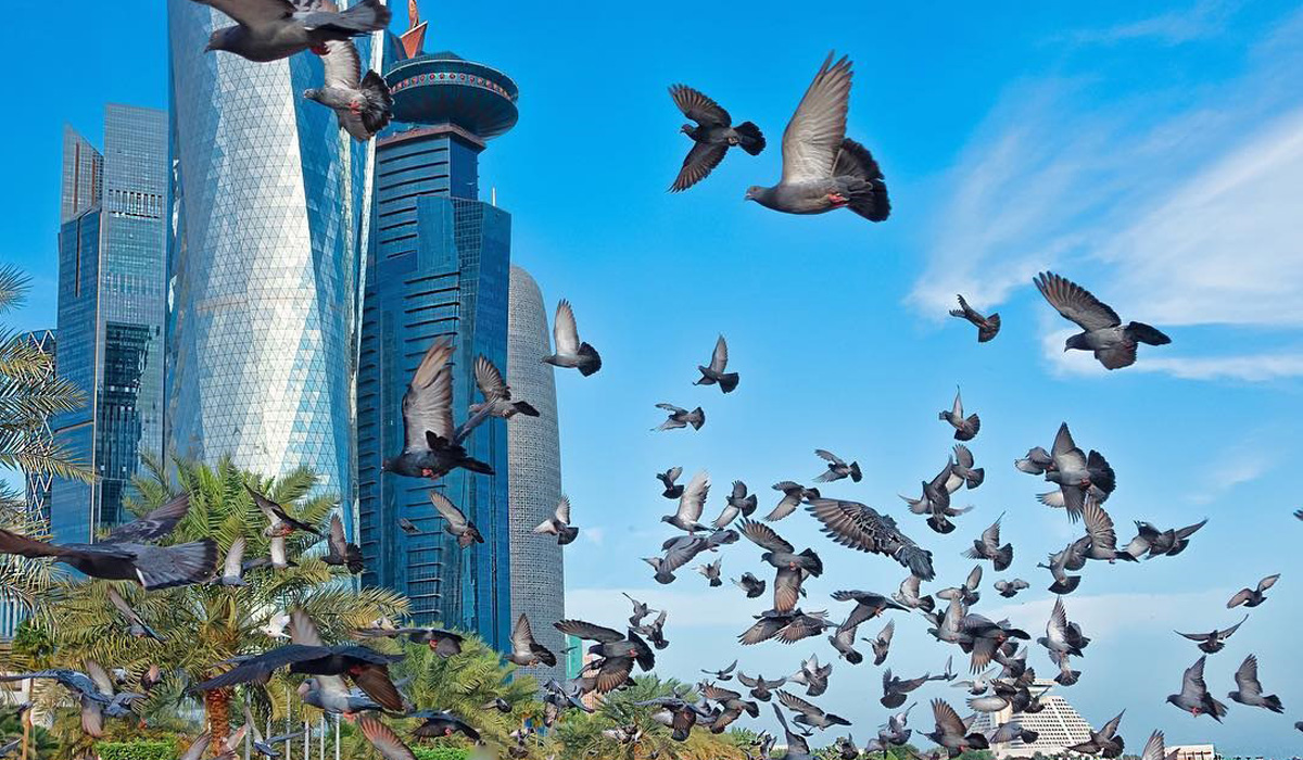 Doha
