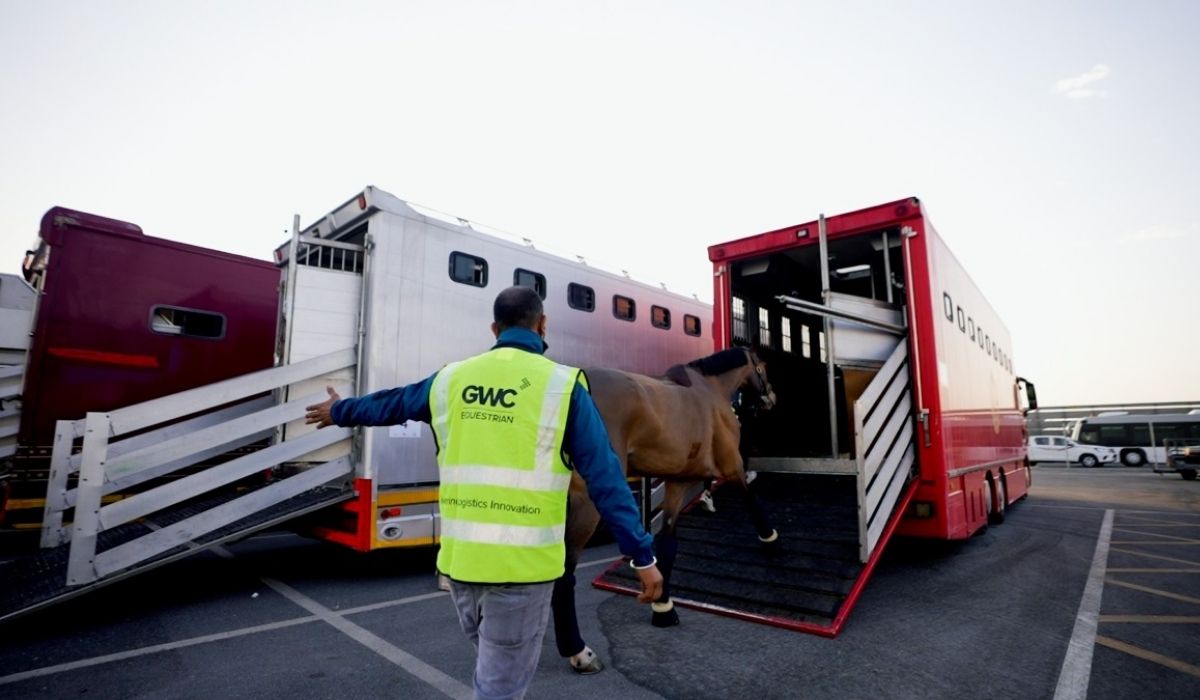 EquestrianLogistics