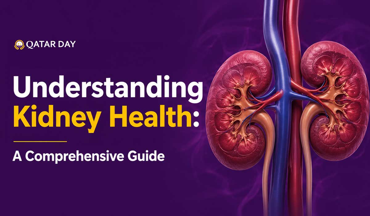 Understanding Kidney Health A Comprehensive Guide