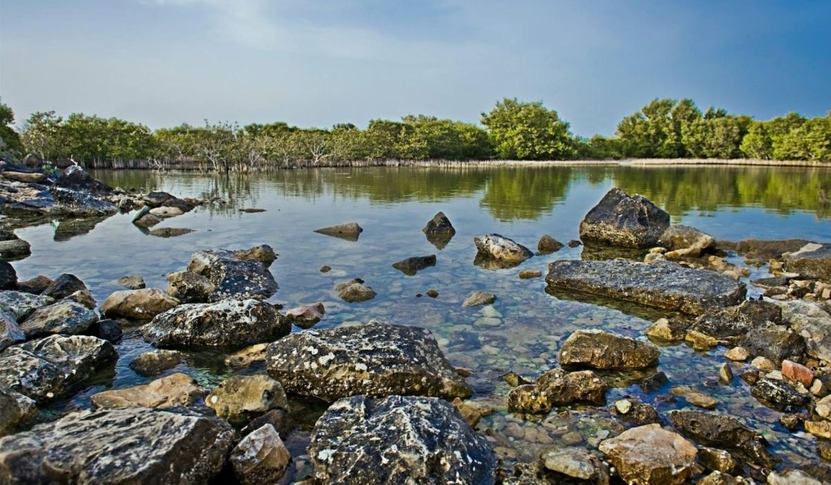 Nature