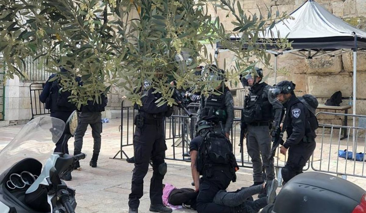 Palestine