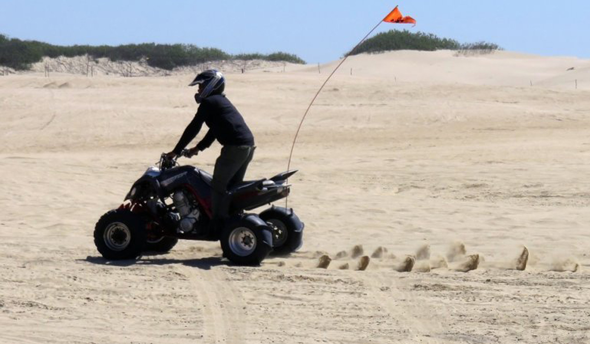 Sealine