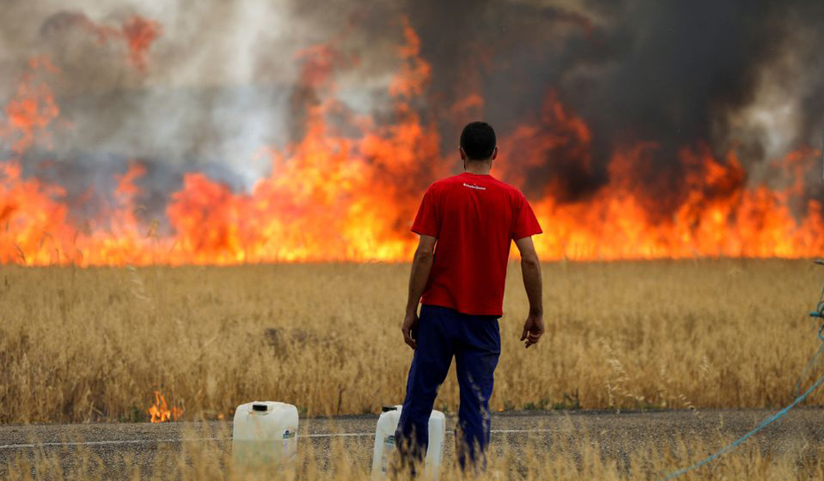 Wildfire