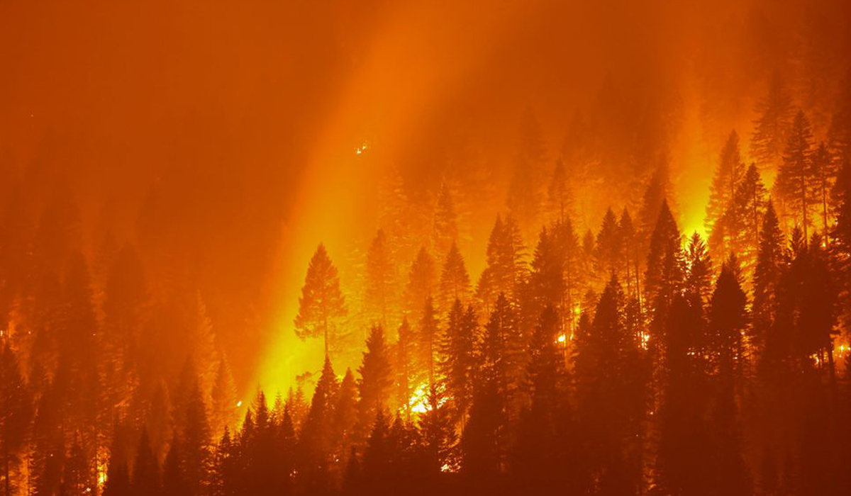 The Dixie Fire