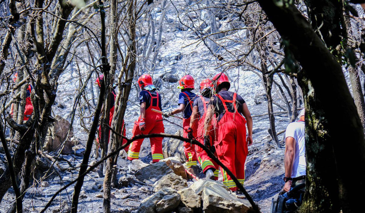 Qatar International Search and Rescue Group Begins Its Tasks in Fire-Affected Sites in Greece