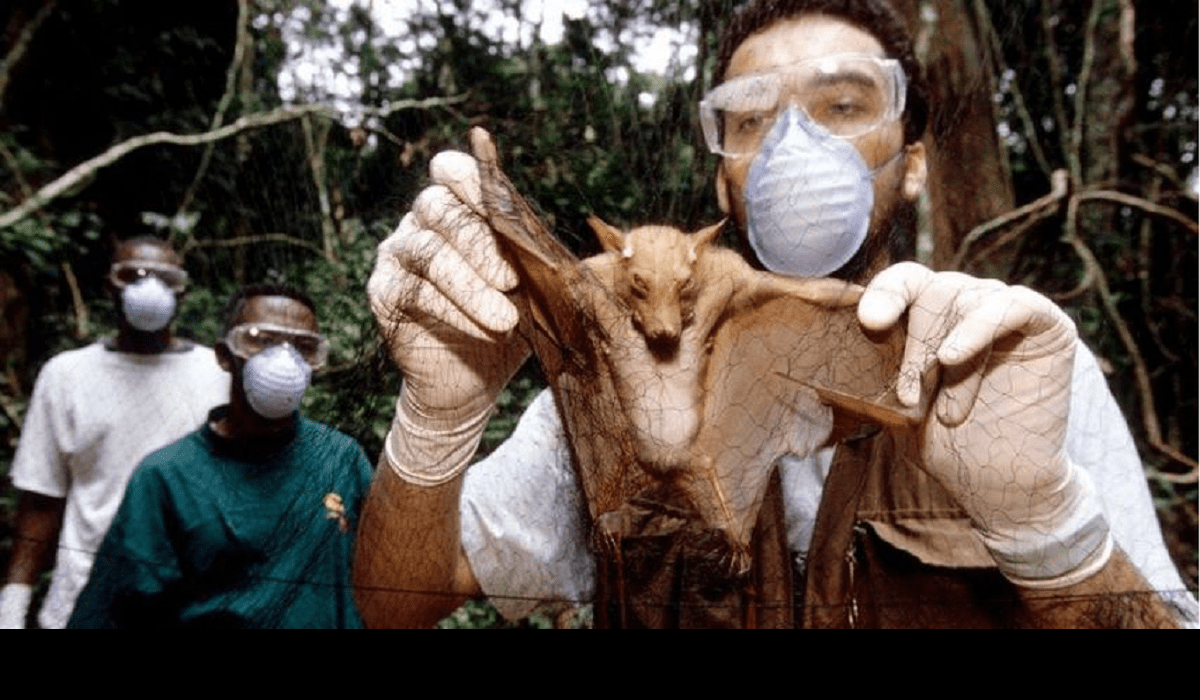 Covid origins: Scientists weigh up evidence over virus's origins