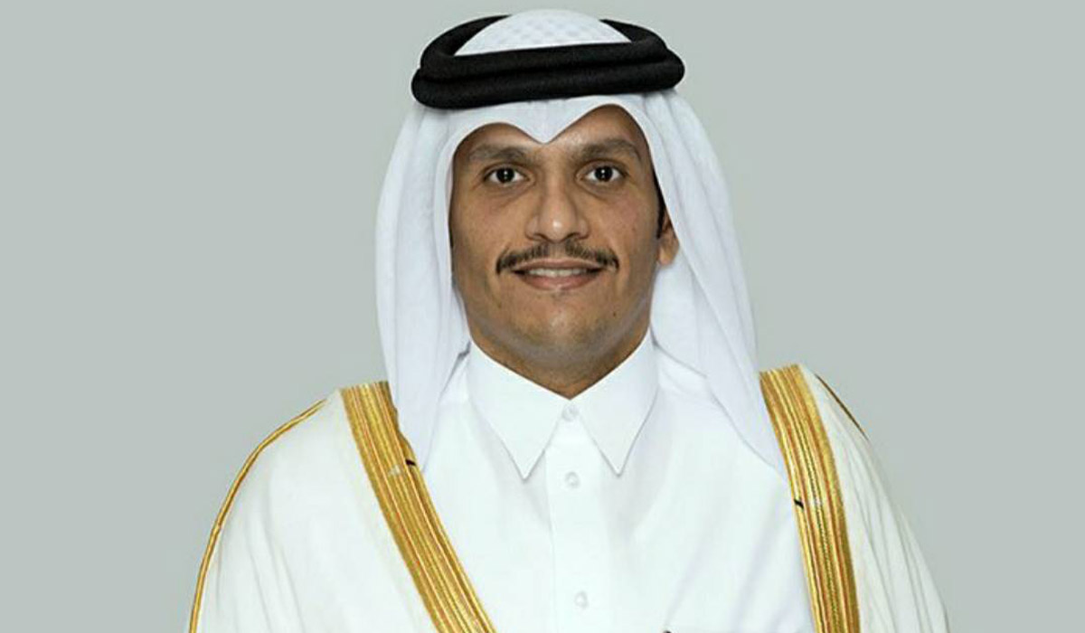 Deputy Prime Minister and Minister of Foreign Affairs Meets Chairman of House Committee on Armed Ser