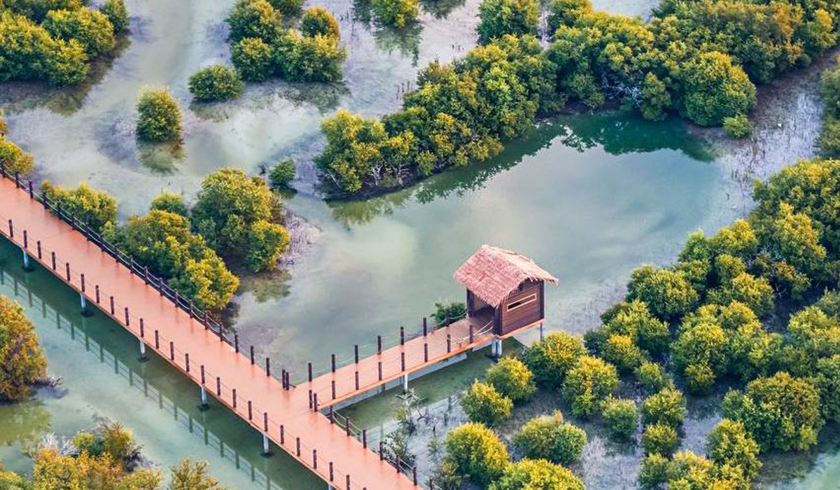 HE Sheikha Al Mayassa shares captivating photos of Qatar’s Al Thakira Mangroves