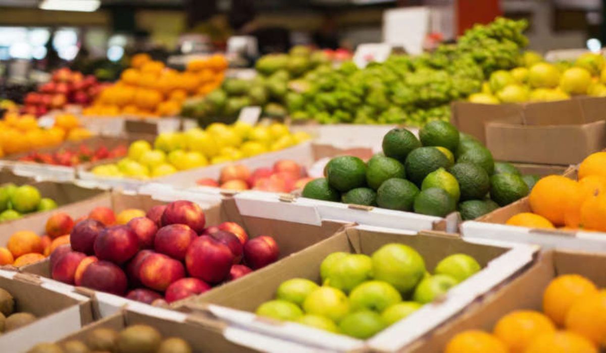 fruitarian diet