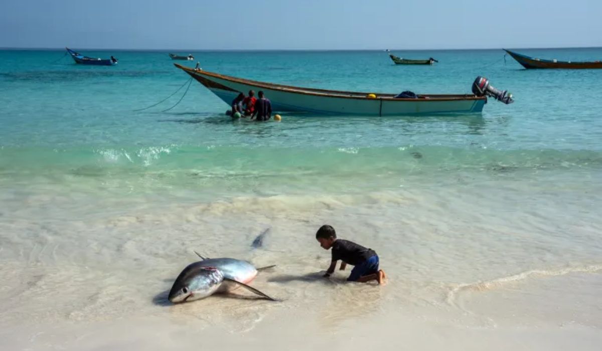 hottest ocean june 2026